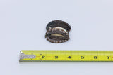 Kona Abalone Size Bite (26 to 32pcs/lb), 1lb