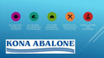Canned Kona Abalone Natural Flavor Small Can 50g