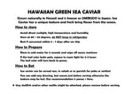 Hawaiian Sea Grapes (Umibudo, Green Caviar), 0.5lb