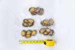 Previously Frozen Sous-Vide abalone in vacuum package, S size, 100 paks, (400pc total)