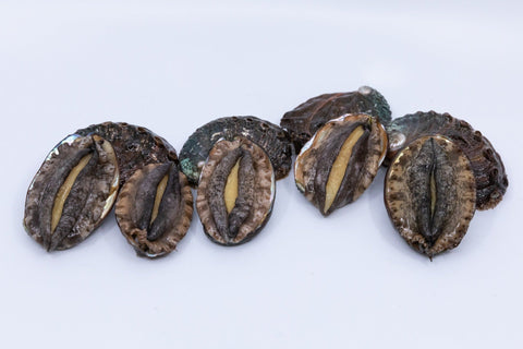 Kona Abalone Size 1 (14 to 24pcs/lb), 1lb