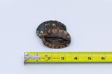Kona Abalone Size 1 (14 to 24pcs/lb), 1lb