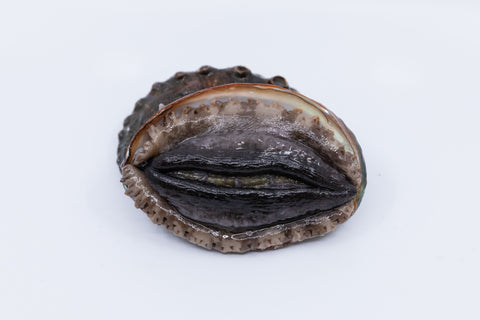 Kona Abalone Size 9 (average 100g), 1pc
