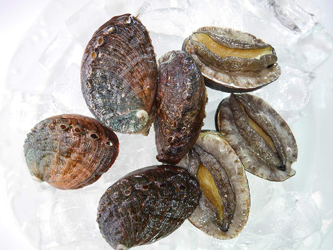 Previously Frozen Kona Abalone Size 1 (14 to 24pcs/lb), 1lb